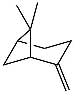 β-蒎烯,分析標準品,≥99%